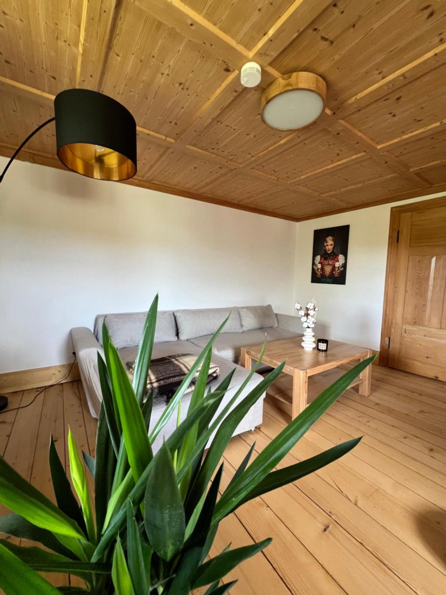 Helle Gemuetliche Ferienwohnung In Schwarzwaldhof Ibach Eksteriør billede