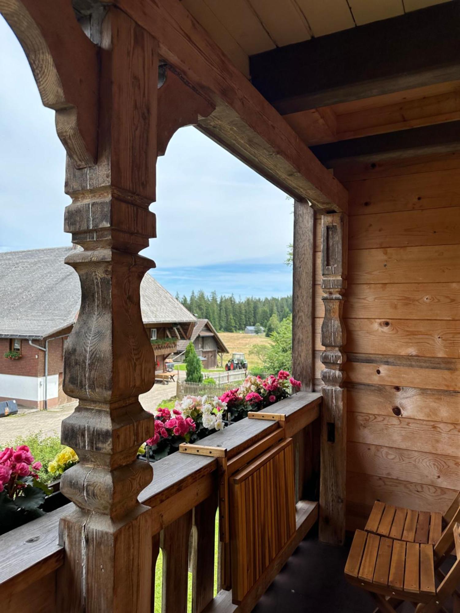 Helle Gemuetliche Ferienwohnung In Schwarzwaldhof Ibach Eksteriør billede